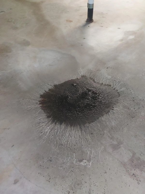 Bad Days Happen (22 pics)