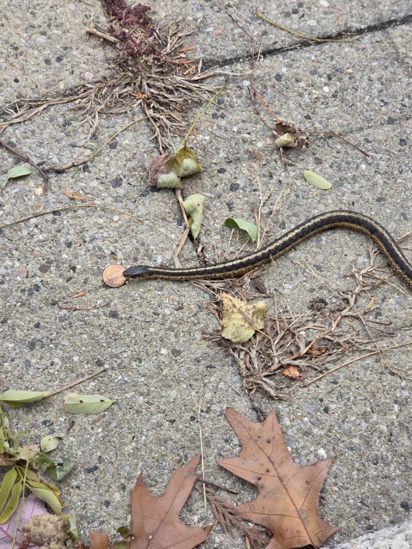 Interesting Finds (22 pics)