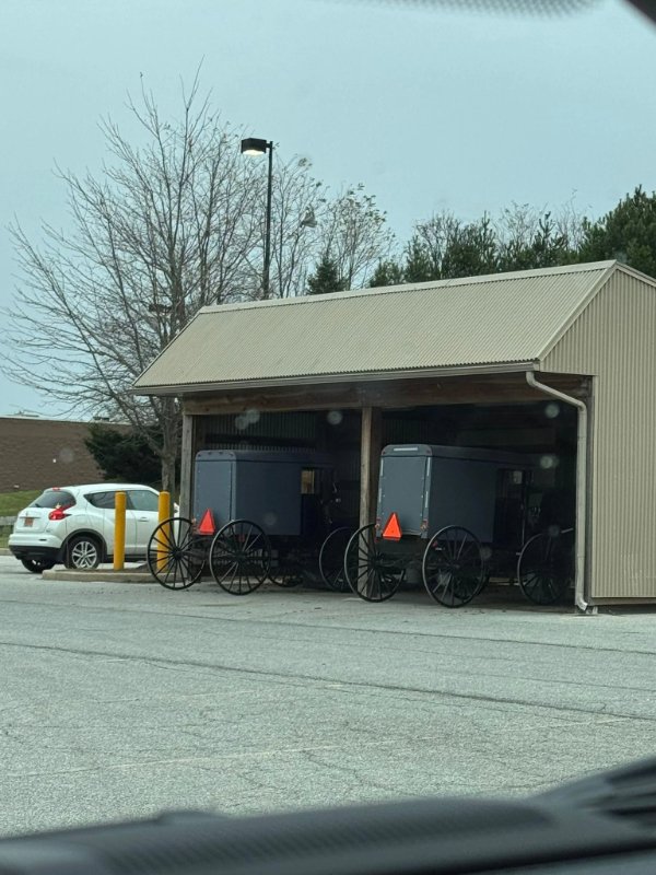 Interesting Finds (22 pics)