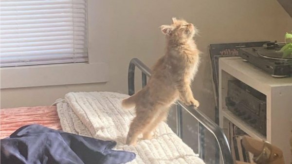 Cool Photos From Around The World (26 pics)