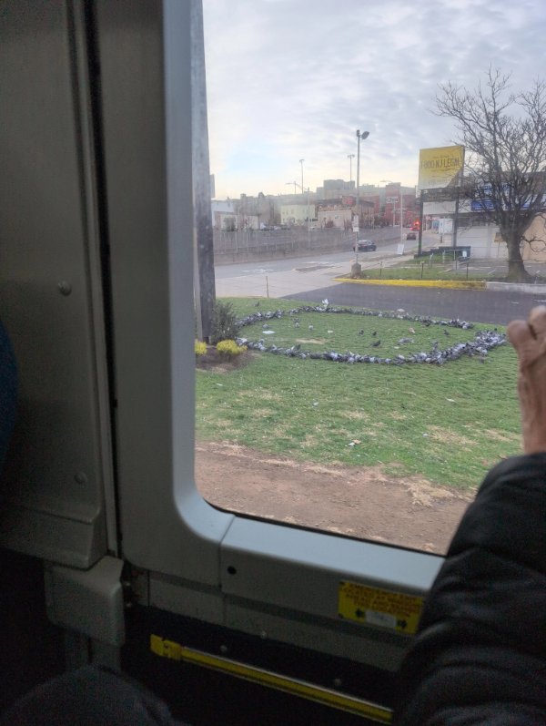 Interesting Finds (22 pics)