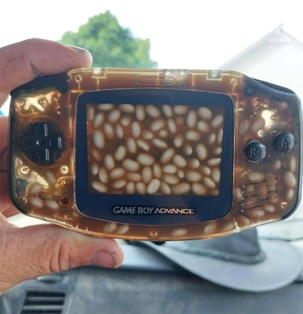 Jokes And Photos For Gamers (27 pics) Jokes And Photos For Gamers (27 pics)