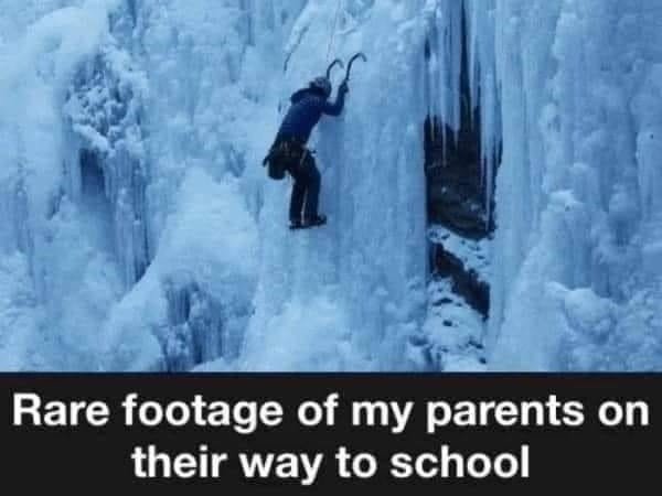 Funny Memes (37 pics)