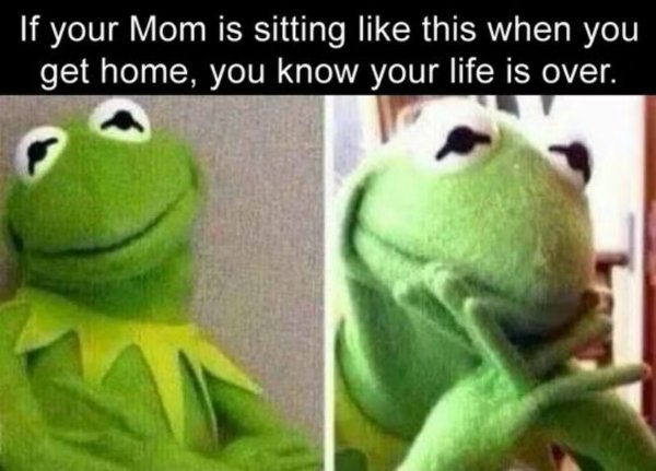 Memes For Muppet Fans (29 pics)