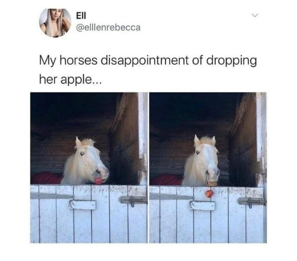 Funny Memes (23 pics)