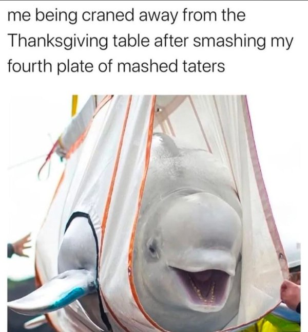 Funny Memes (23 pics)