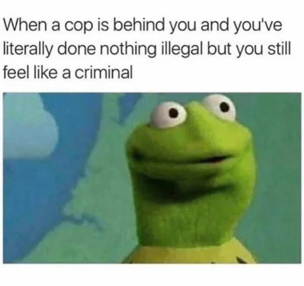 Memes For Muppet Fans (29 pics)