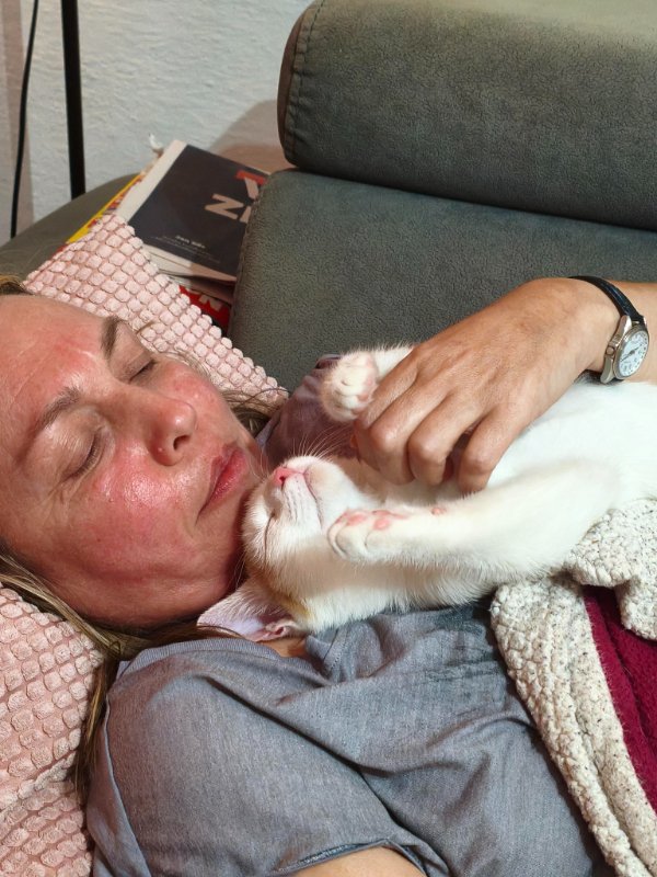 Jokes And Photos For Cats Lovers (31 pics)