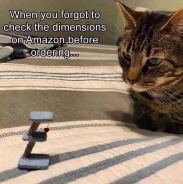 Jokes And Photos For Cats Lovers (31 pics)