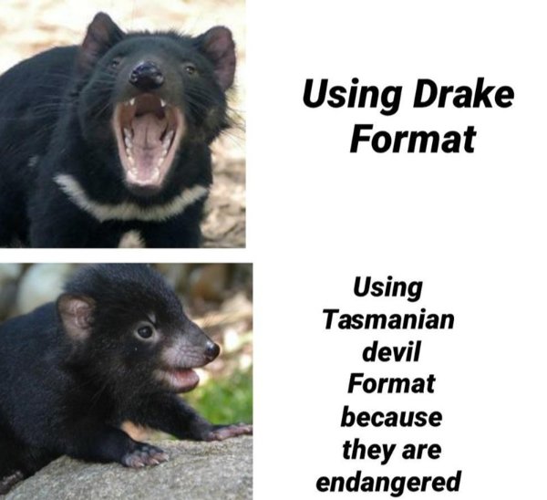 Memes With Animals (32 pics)