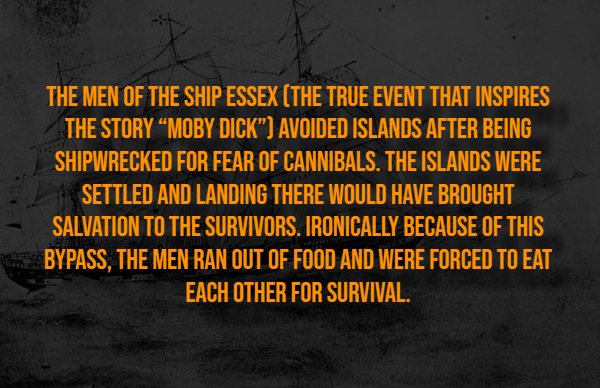 Creepy Facts (14 pics)