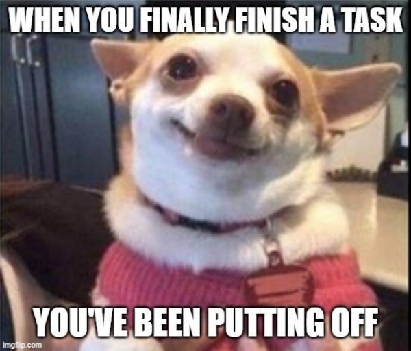 Random Memes (22 pics)