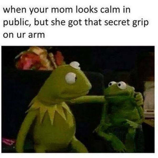 Memes For Muppet Fans (29 pics)