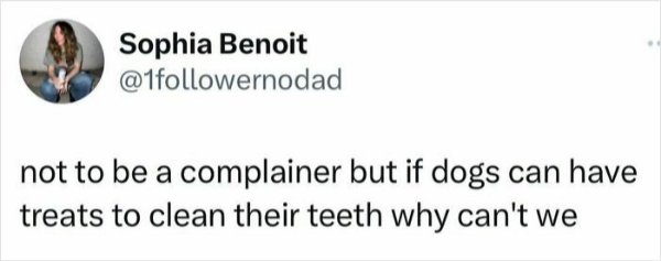 Memes With Animals (32 pics)