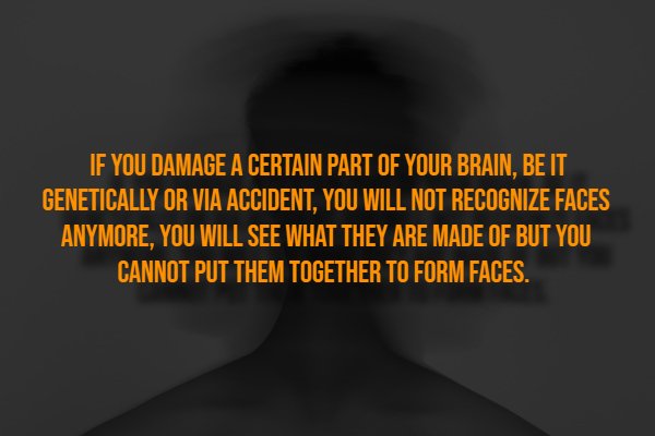 Creepy Facts (14 pics)