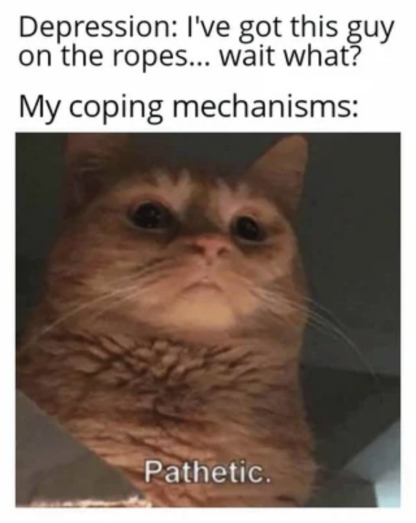 Random Memes (22 pics)