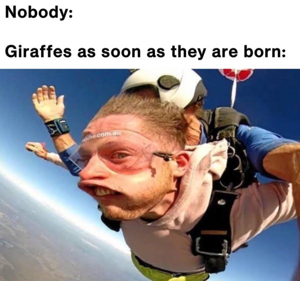 Funny Memes (23 pics)