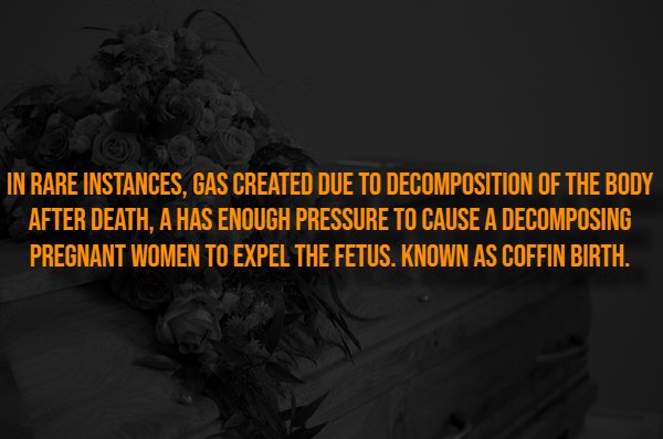 Creepy Facts (14 pics)