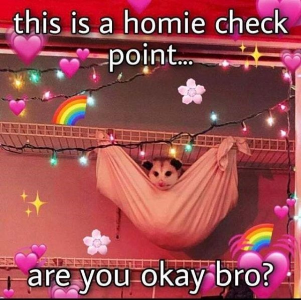 Memes With Animals (32 pics)