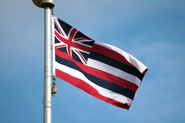 Interesting Facts (17 pics)