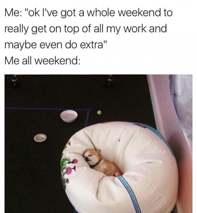 Monday Memes (24 pics) Monday Memes (24 pics)