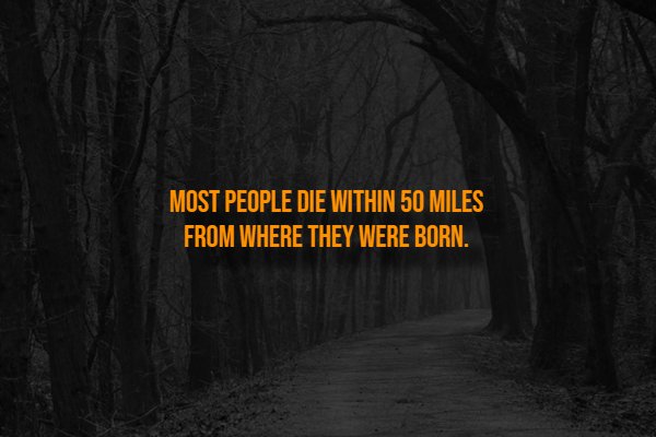 Creepy Facts (14 pics)