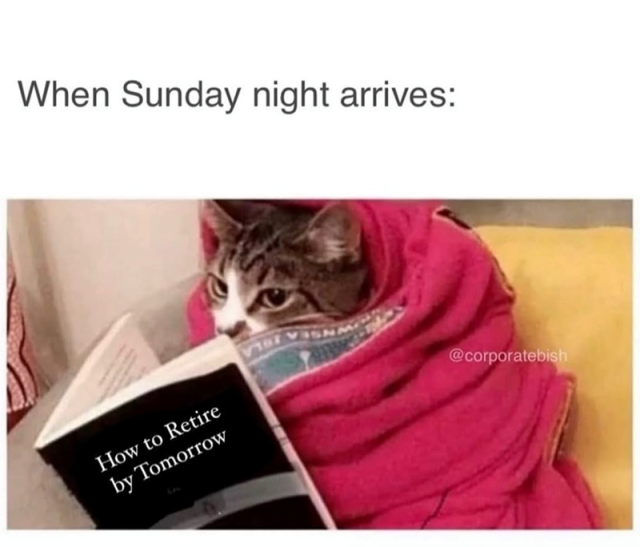 Monday Memes (24 pics) Monday Memes (24 pics)