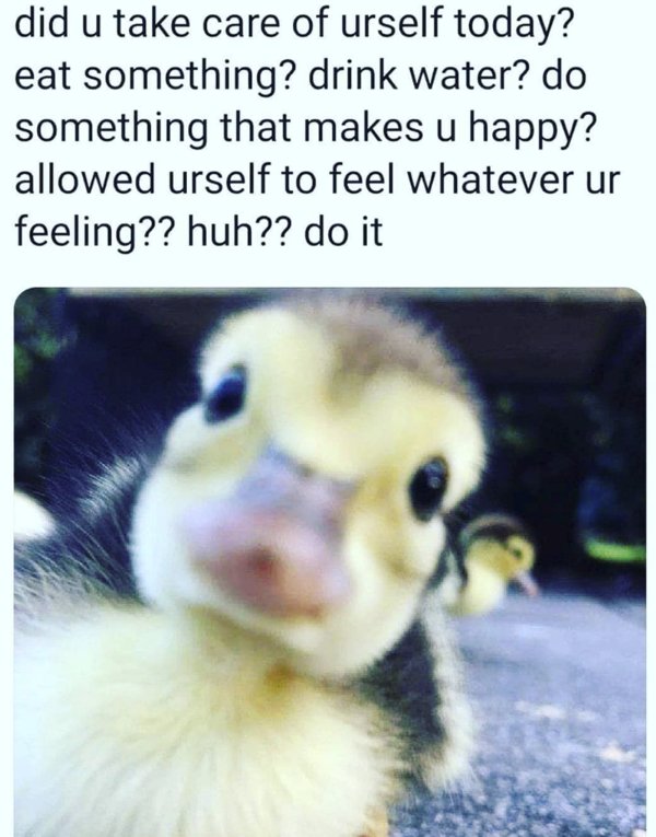 Random Memes (22 pics)