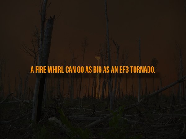 Creepy Facts (14 pics)