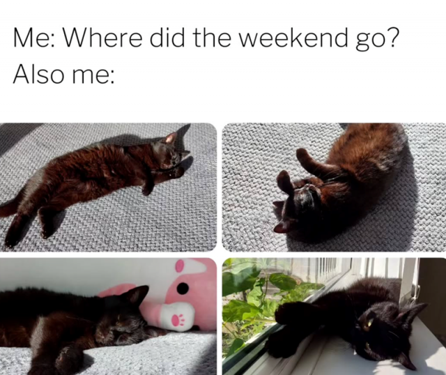 Monday Memes (24 pics) Monday Memes (24 pics)