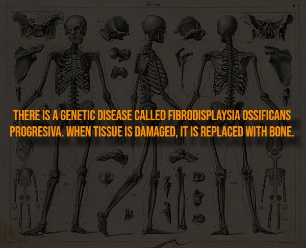 Creepy Facts (14 pics)