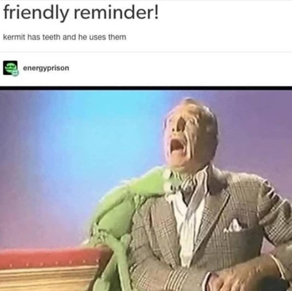 Memes For Muppet Fans (29 pics)