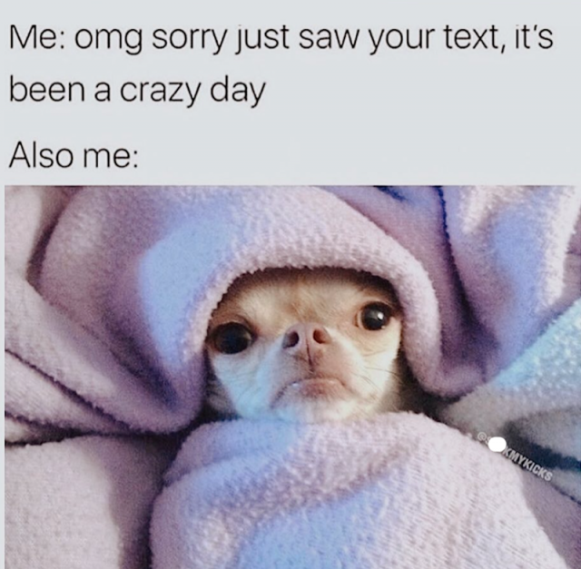 Monday Memes (24 pics) Monday Memes (24 pics)