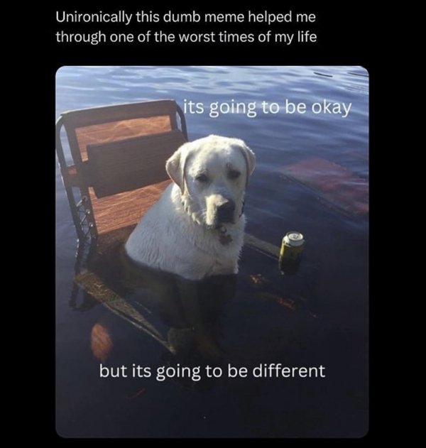 Random Memes (22 pics)