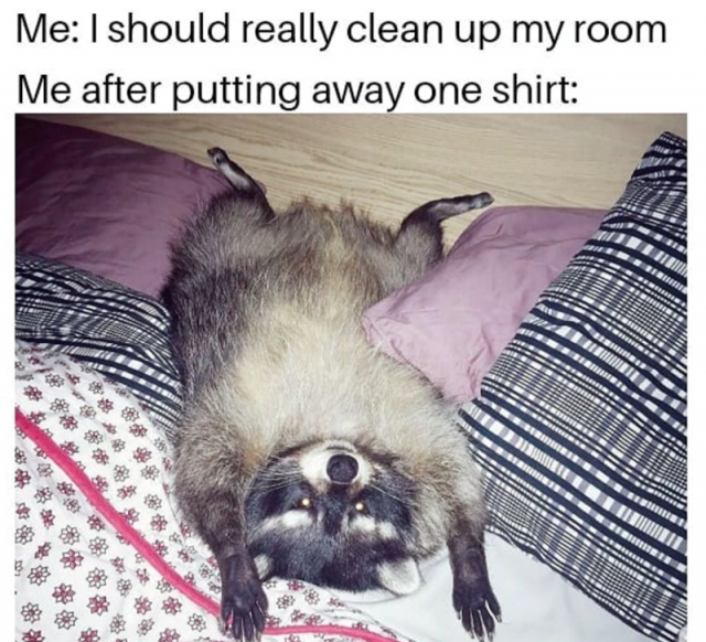 Monday Memes (24 pics) Monday Memes (24 pics)