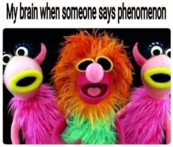 Memes For Muppet Fans (29 pics)