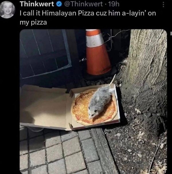 Funny Memes (23 pics)