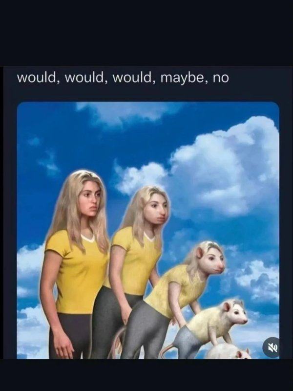 Funny Memes (23 pics)