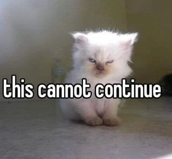 Funny Memes (23 pics)