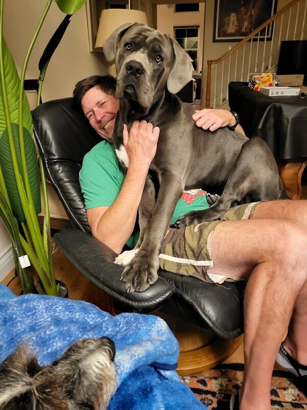 Photos For Dogs Lovers (36 pics)