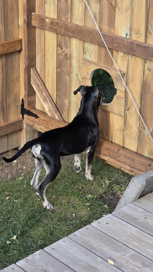 Interesting Finds (23 pics)