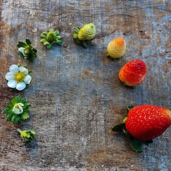 Interesting Finds (23 pics)