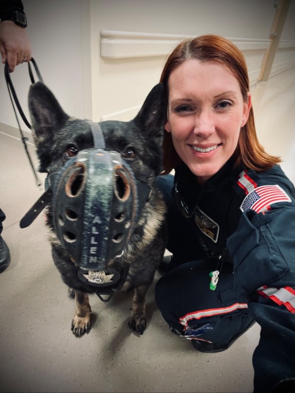 Photos For Dogs Lovers (36 pics)