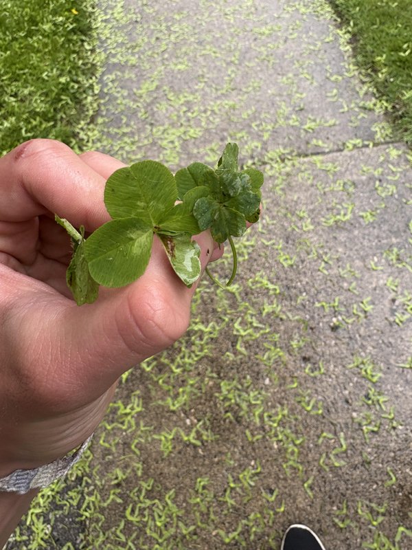 Interesting Finds (23 pics)