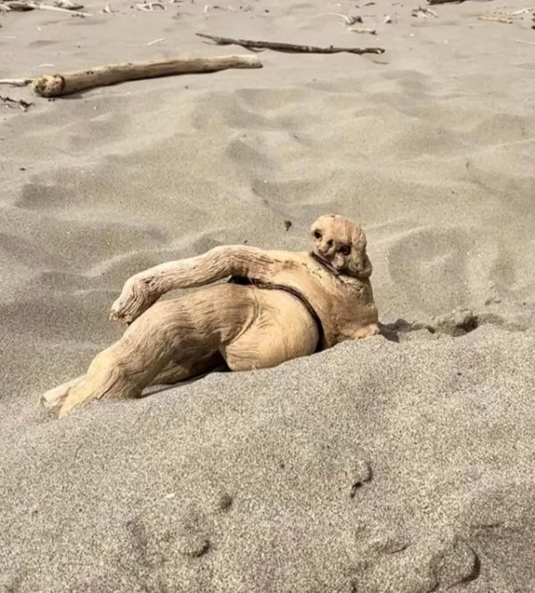 This Is Pareidolia (34 pics) This Is Pareidolia (34 pics)