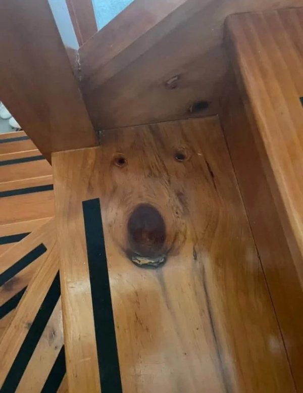 This Is Pareidolia (34 pics) This Is Pareidolia (34 pics)