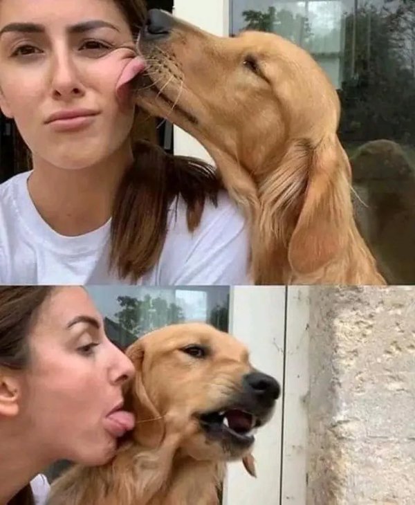 What Is Going On Here? (49 pics) What Is Going On Here? (49 pics)