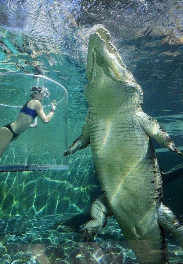 Strange Finds And Situations (31 pics) Strange Finds And Situations (31 pics)