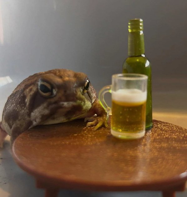 What Is Going On Here? (49 pics) What Is Going On Here? (49 pics)