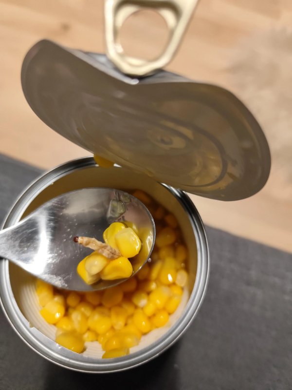 Bad Days Happen (22 pics)